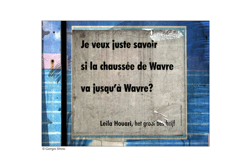 Petite phrase de la palissade