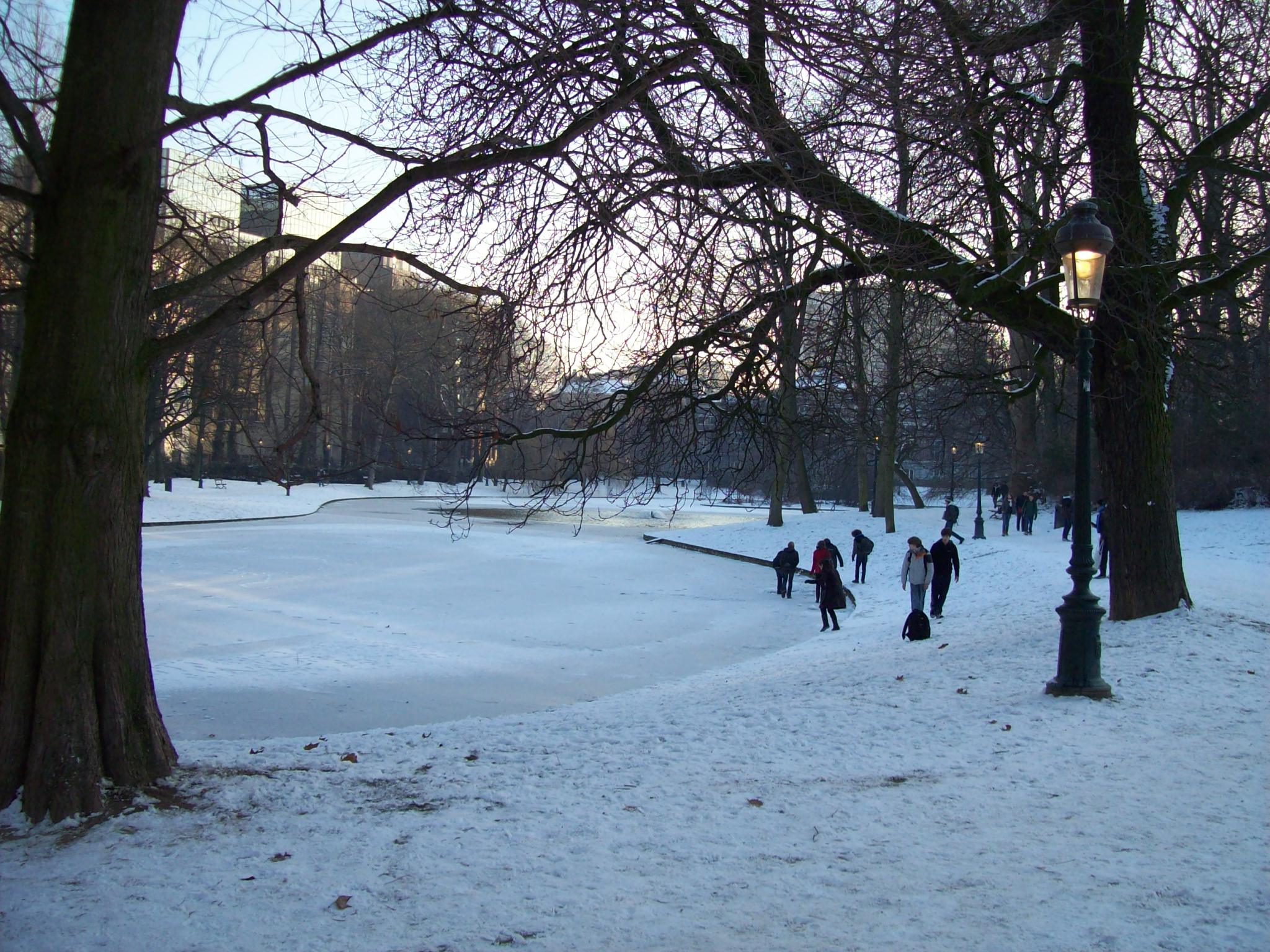 Parc LÃ©opold, janvier 2009
